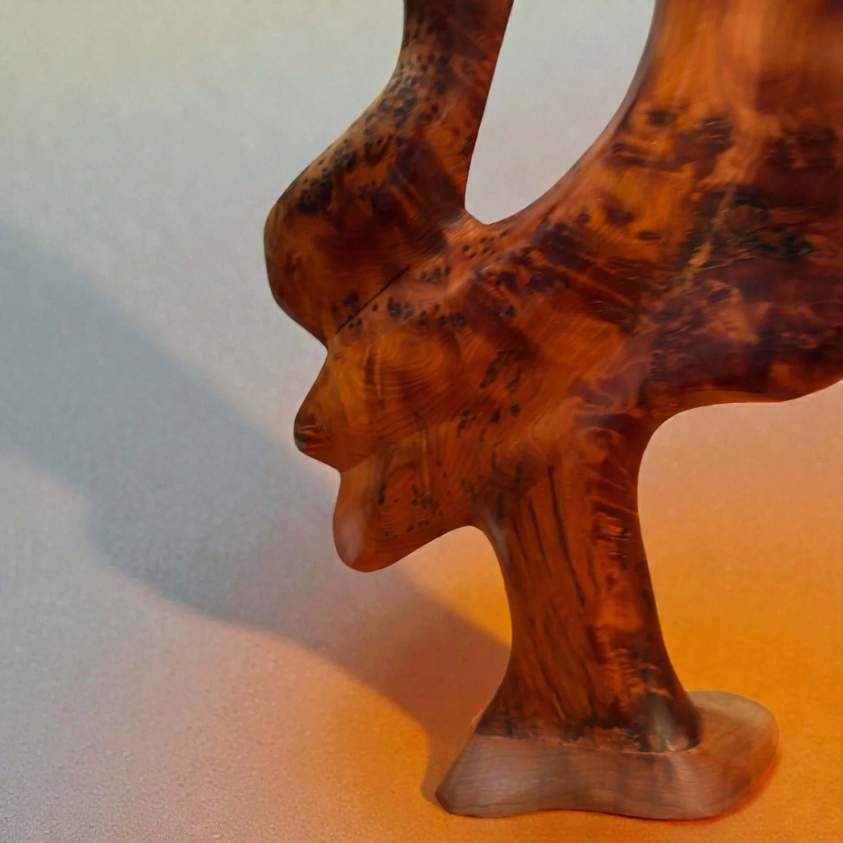 Handmade wood sculpture decor with organic abstract form