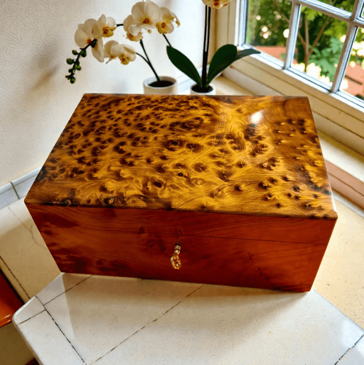 Thuya Wooden Jewelry Box