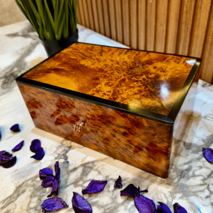 watch box